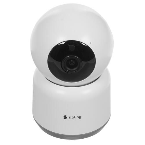 IP camera Sibling Powernet-G(PTZ)