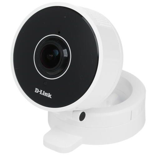 D-Link DCS-8100LH IP camera